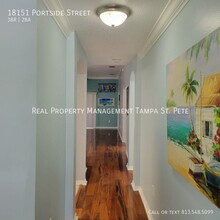 18151 Portside St in Tampa, FL - Building Photo - Building Photo