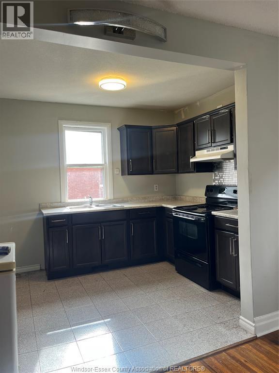 719 Erie St E in Windsor, ON - Foto de edificio - Building Photo