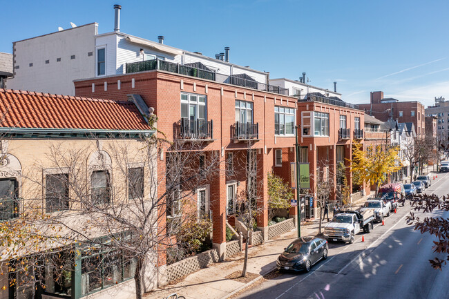 Ivy Lane in Chicago, IL - Building Photo - Building Photo