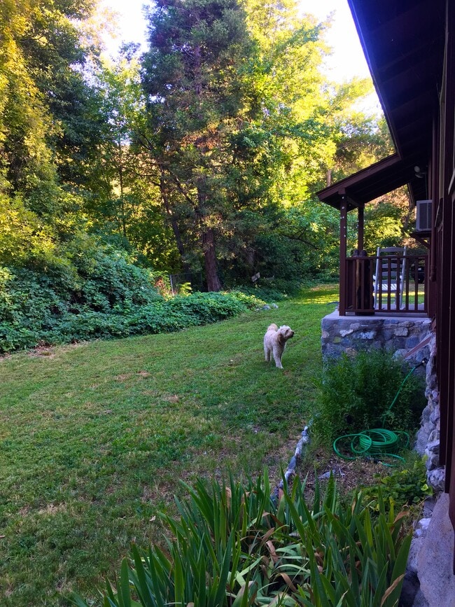 13992 Irving Ln in Lytle Creek, CA - Foto de edificio - Building Photo