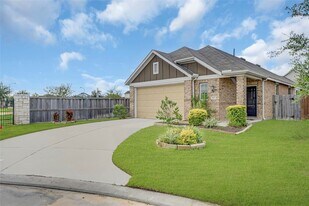 3001 Wedgewood Bay Ct in Spring, TX - Building Photo