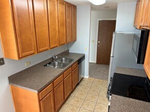 5950 Oakwood Dr in Lisle, IL - Building Photo - Building Photo