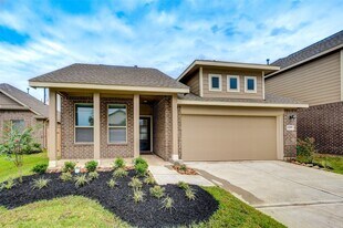 24338 Gold Cheyenne Wy in Katy, TX - Building Photo