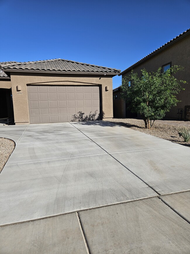 12553 Denton Wy in Marana, AZ - Building Photo - Building Photo