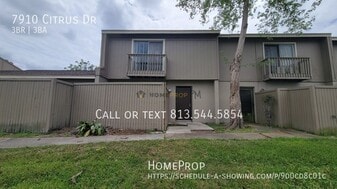7910 Citrus Dr in Temple Terrace, FL - Building Photo