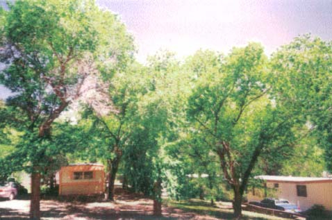 Shady Mountain Trailer Park in Raton, NM - Foto de edificio