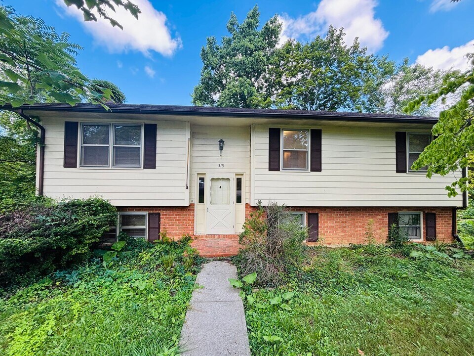 315 Sunset Blvd in Blacksburg, VA - Building Photo