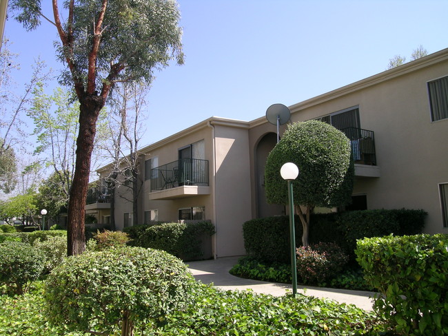 Tierra Del Sol Apartments photo'