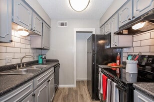 The Jackson in San Antonio, TX - Building Photo