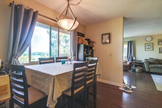 3064 Avenida Christina in Carlsbad, CA - Building Photo - Building Photo