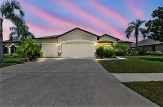 5303 Moon Shell Dr in Apollo Beach, FL - Building Photo - Building Photo