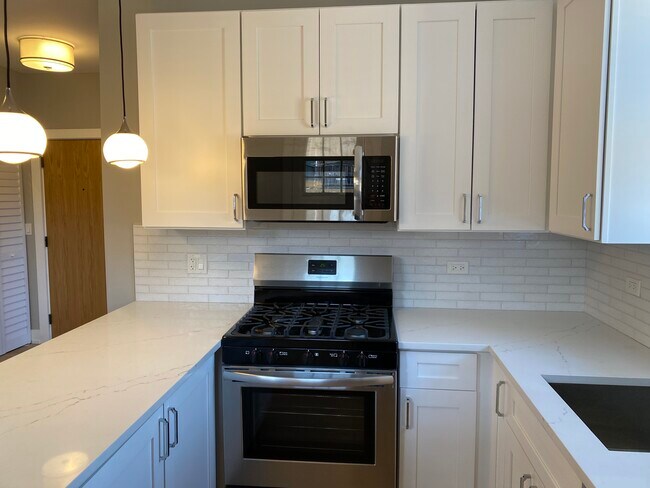 3925 N Janssen Ave, Unit E3 in Chicago, IL - Foto de edificio - Building Photo