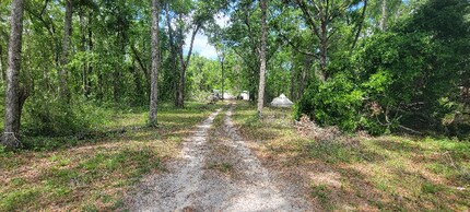 515 SW Regiment Pl in Lake City, FL - Building Photo - Building Photo
