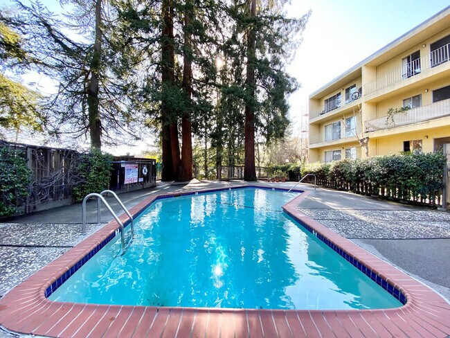 The Morgan Apartments in Lafayette, CA - Building Photo - Building Photo