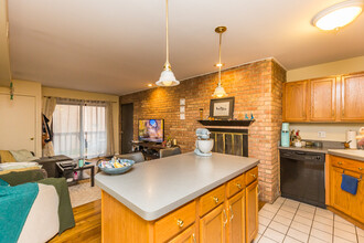 801 W Oakdale Ave, Unit 1B in Chicago, IL - Building Photo - Building Photo
