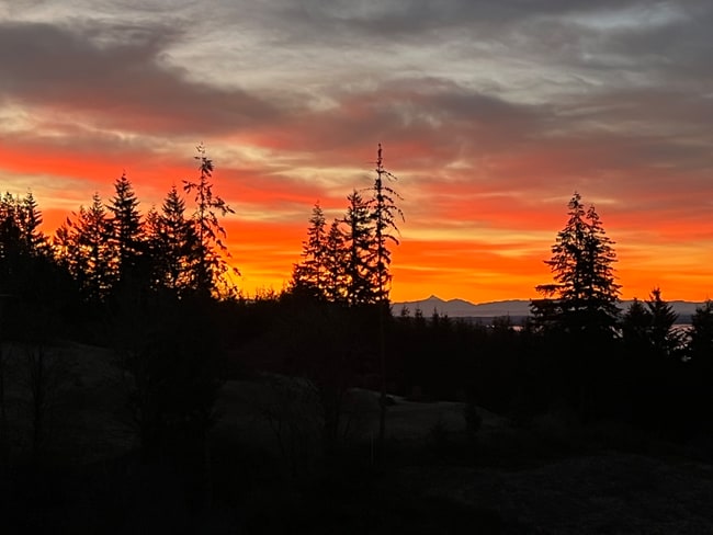 205 Island View Dr in Woodland, WA - Foto de edificio - Building Photo