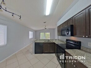1509 Ocean Reef Rd in Wesley Chapel, FL - Building Photo - Building Photo
