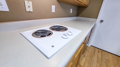 2404 St Paul Dr in Colorado Springs, CO - Foto de edificio - Building Photo