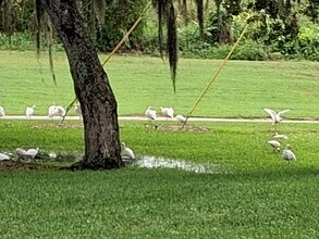 7 Vista Gardens Trl, Unit 105 in Vero Beach, FL - Foto de edificio - Building Photo