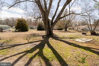 504 Plover Rd in Salisbury, MD - Building Photo - Building Photo