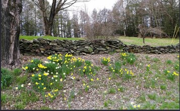 298 Sweet Pond Rd in Guilford, VT - Foto de edificio - Building Photo