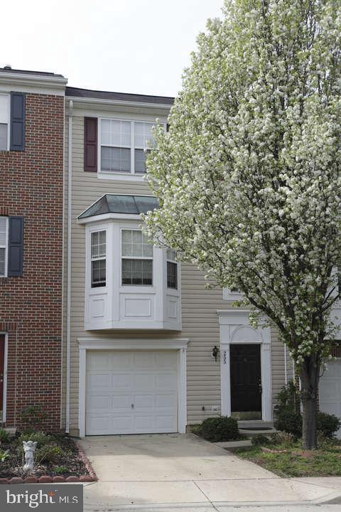 255 Golden Larch Terrace NE in Leesburg, VA - Building Photo - Building Photo