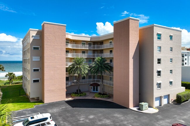Silver Palm