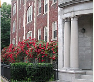 353 Harvard St in Cambridge, MA - Foto de edificio - Building Photo