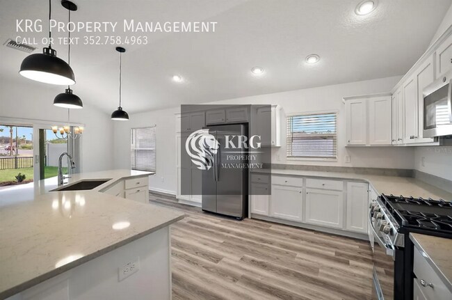 949 Ruhlman Lp in the Villages, FL - Building Photo - Building Photo