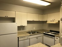 Rue Leon Apartments in San Antonio, TX - Building Photo - Building Photo