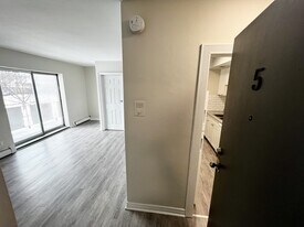 315 Detroit St in Windsor, ON - Building Photo