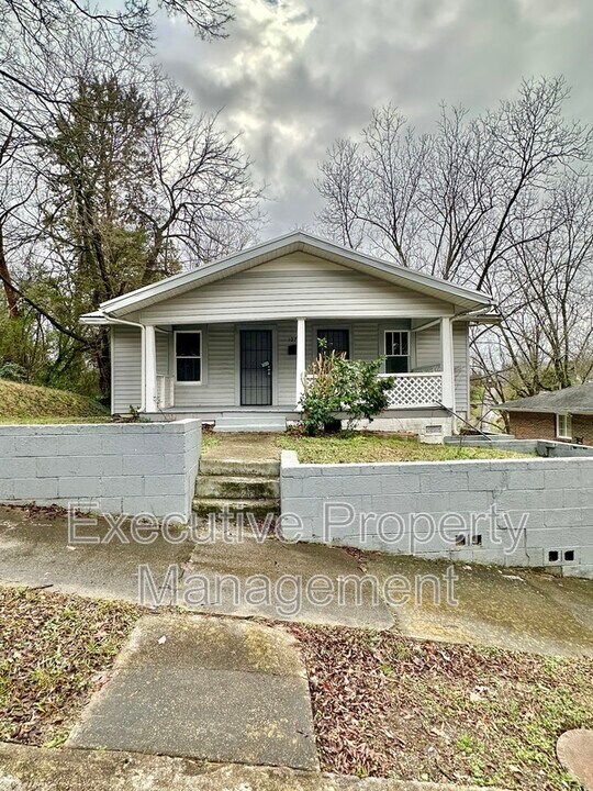 1076 Green St in Birmingham, AL - Building Photo