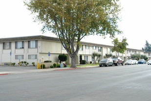 Maple Terrace Apartments