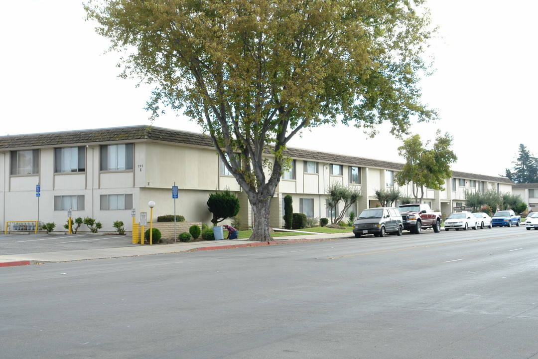 Maple Terrace Apartments in Salinas, CA - Building Photo