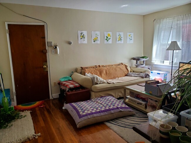 157-161 Hemenway St, Unit 15 in Boston, MA - Building Photo - Building Photo