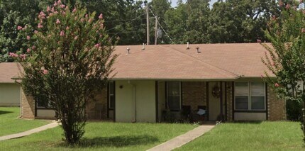 1001 Lakeview Dr in Lone Star, TX - Building Photo - Building Photo