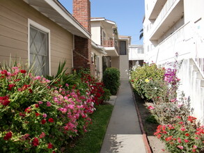 1712 Barry Ave, Unit 1 in Los Angeles, CA - Building Photo - Building Photo