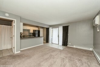 20 St Thomas Colony St in Fox Lake, IL - Building Photo - Building Photo