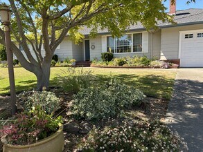 2323 Westview Way in Santa Rosa, CA - Building Photo - Building Photo