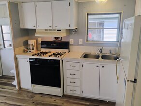 37112 Sandra Ave in Zephyrhills, FL - Building Photo - Building Photo