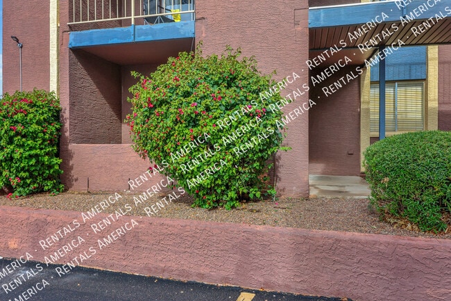16602 N 25th St in Phoenix, AZ - Building Photo - Building Photo