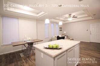 705 Cathedral Hl in Edinburg, TX - Building Photo - Building Photo