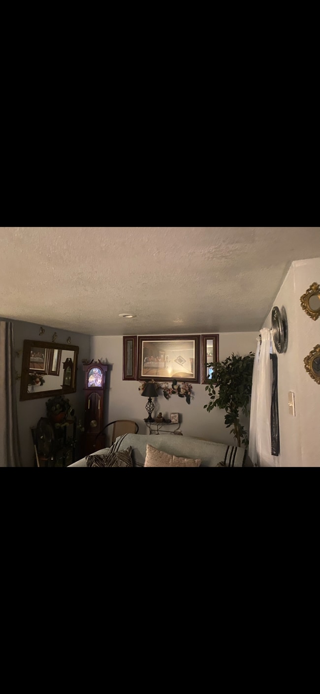 property at 1103 S Lilly St