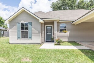 913 Lillian Michel Dr