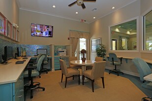 Camden Montague in Tampa, FL - Building Photo