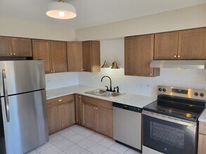1257 Harding Ave in Des Plaines, IL - Building Photo - Building Photo