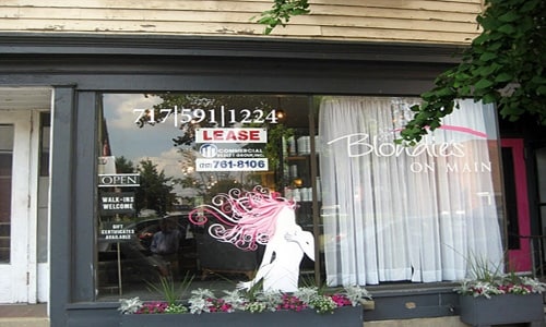11-21 E Main St in Mechanicsburg, PA - Building Photo - Building Photo