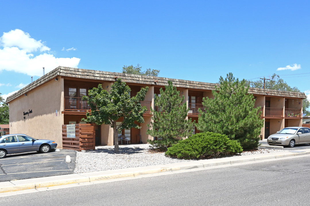 University South in Albuquerque, NM - Building Photo