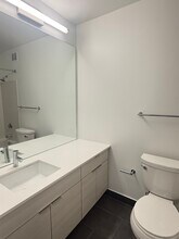 435 E Ohio St in Chicago, IL - Building Photo - Building Photo