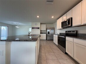 12072 Downy Birch Dr in Riverview, FL - Building Photo - Building Photo